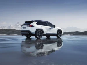 2019 rav4 hybrid 02
