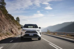 2019 toyota rav4 dyn 07 173665