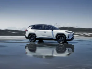 2019 toyota rav4 ext 20 763966
