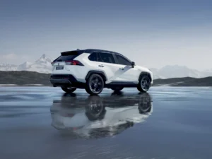 2019 toyota rav4 ext 21 780193