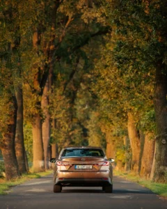 2024 new camry executive bronze dynamic 004