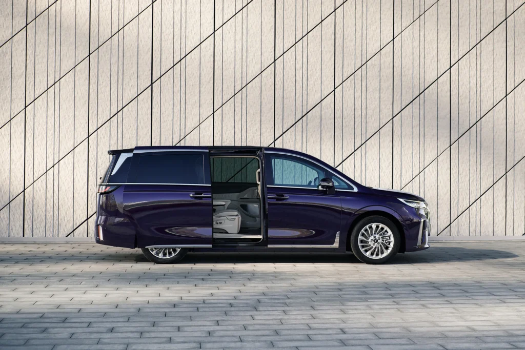 668d2fe2a5adddf78c7495d6 DREAM Side View Open Door scaled