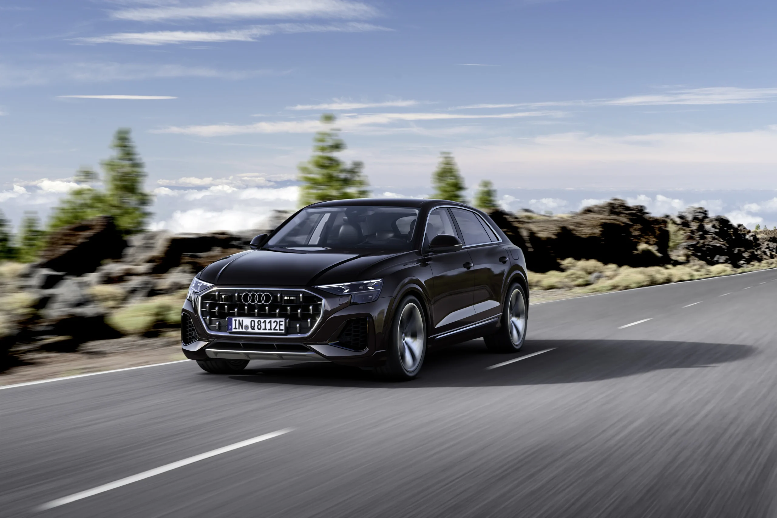 Audi Q8 TFSI e quattro (1)