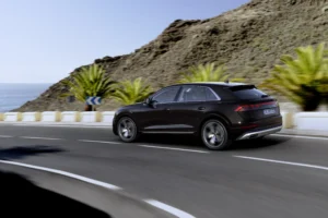 Audi Q8 TFSI e quattro 3 scaled