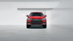 BYD TANG T41002