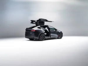 ModelX 69