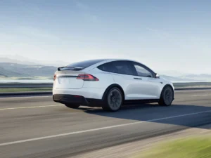ModelX 81