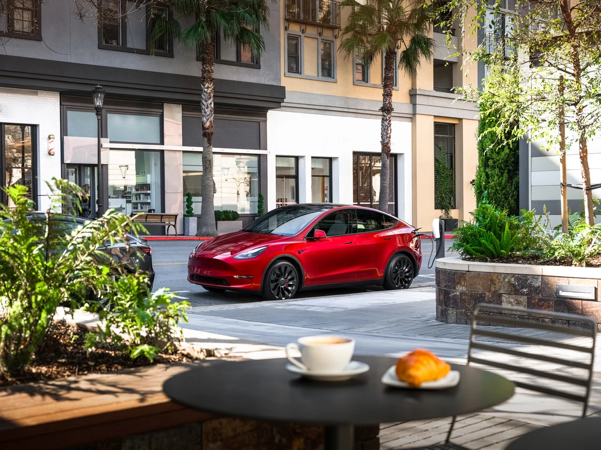 ModelY 53