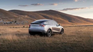 ModelY 54