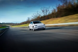 ModelY 55