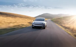 ModelY 58