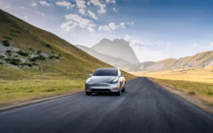 ModelY 59