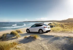 ModelY 61