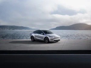 ModelY 64
