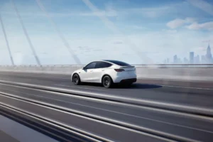 ModelY 79