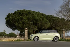 Suzuki Swift 034 scaled