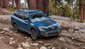 subaru outback wilderness 1