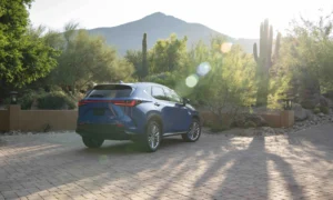 2025 Lexus NX 350h Luxury GrecianWater 054 scaled